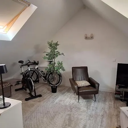 Le Triplex De Sergio Semesterbostad Bonneville (Haute-Savoie)